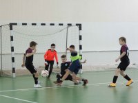 IMG_1481